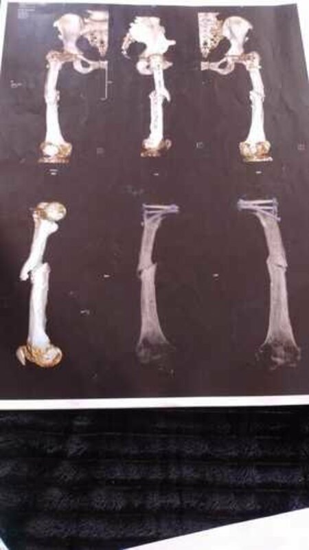 Ajuda pra fazer a cirurgia da minha mãe 