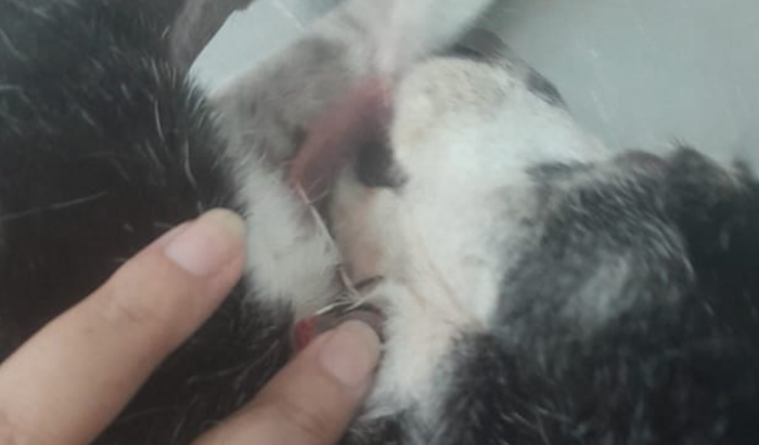 Ajude a mel!!! Por favor!!!