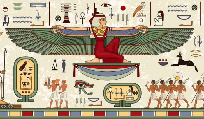 Ajuda o Well a fazer a viagem de seus sonhos!