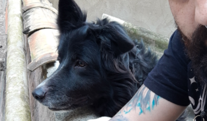 Ajude o Jonny a vencer essa batalha!