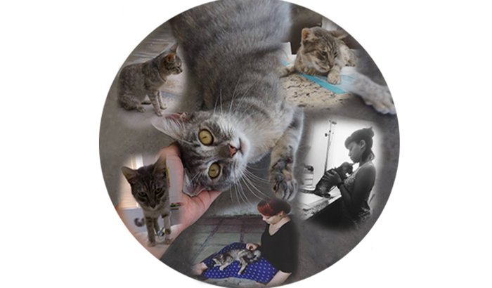 Nos ajude a pagar as despesas médicas de Luana