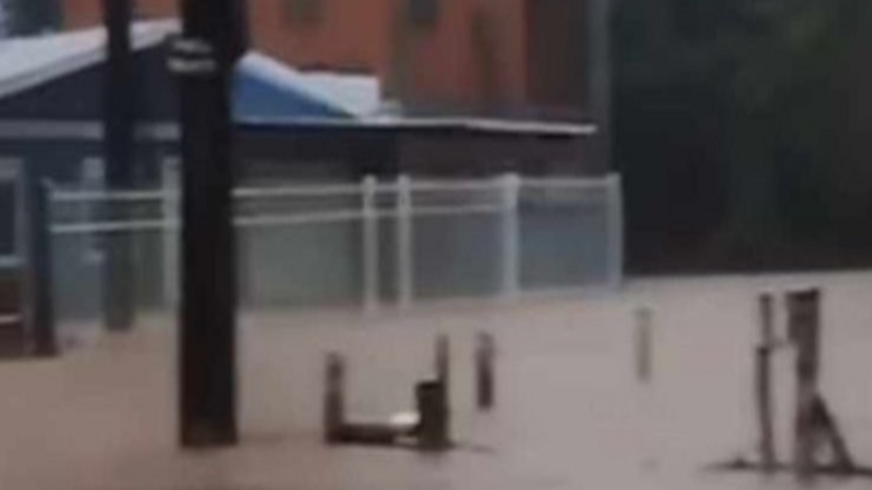 Ajude Edmara e Cristina que perderam tudo com as chuvas!