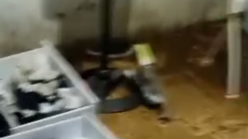 Nos ajude como puder - Enchente Santa Maria - RS