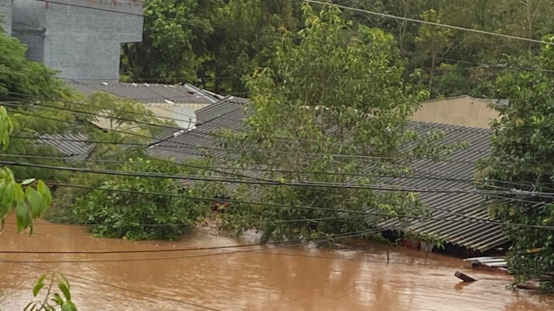 Móveis/Roupas/Alimentos
