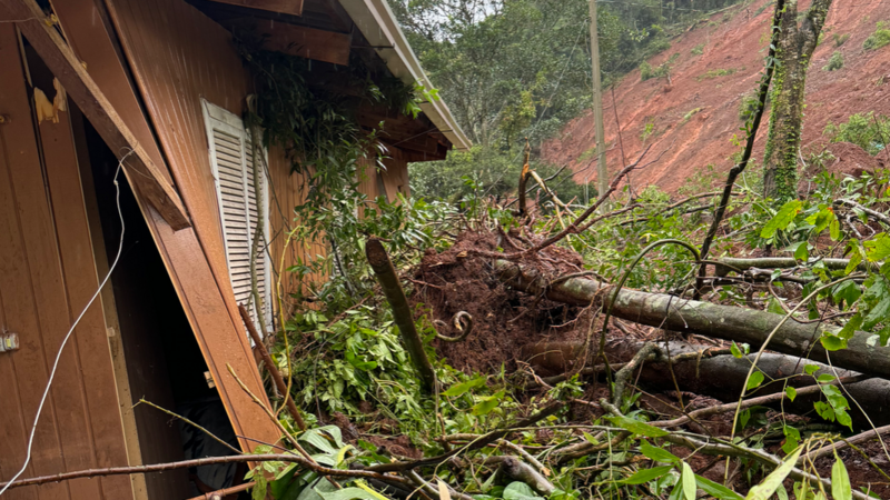AJUDE O NICO A RECOMECAR SUA VIDA