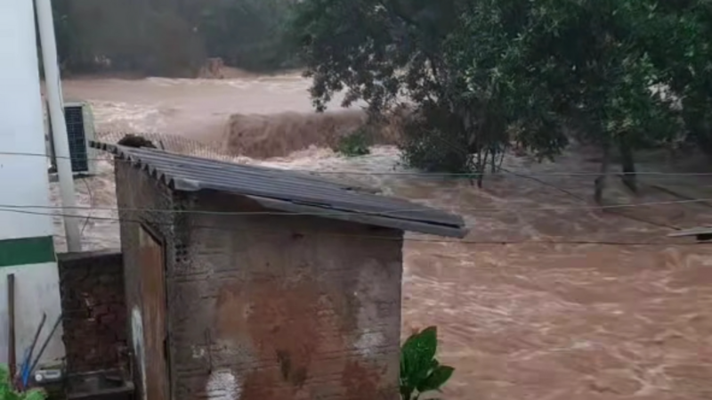 Ajude a nossa família em Arroio Tigre