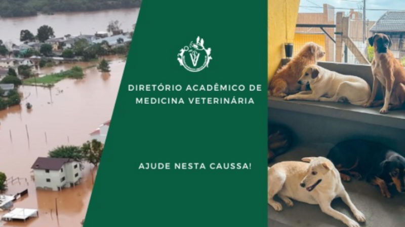 Ajude pessoas e animais atingidos pela enchente 