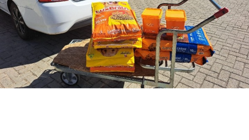 Ajudar animais atingido pela enchente RS 