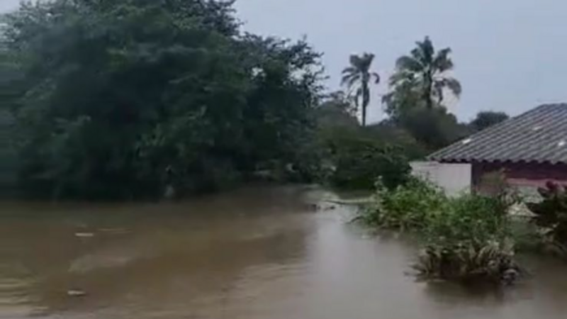 Ajude a Família Lopes