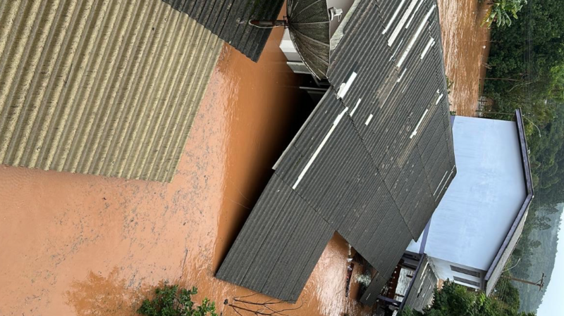 Éder Forsin (Família Forsin)