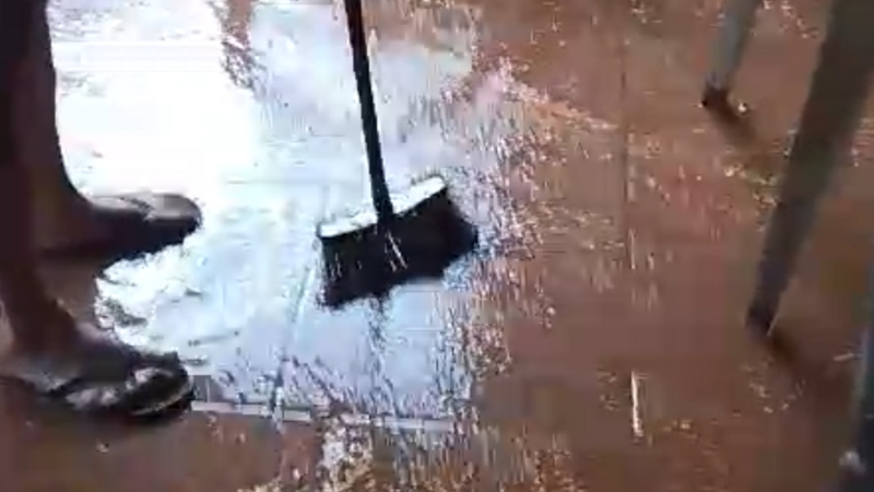 Minha família gaúcha precisa da sua ajuda