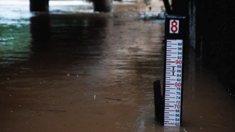 Ajude nossos colegas a reconstruir seu lar