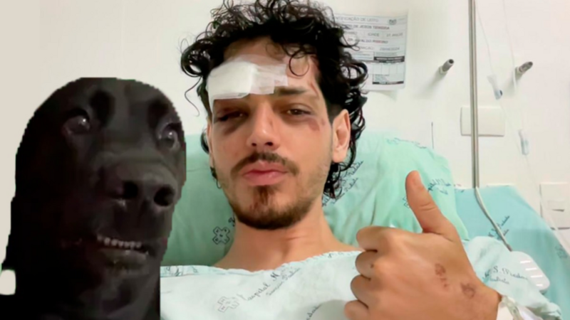 Ajude na recuperação do Fer e se passarmos a meta ajudaremos mais animaizinhos!