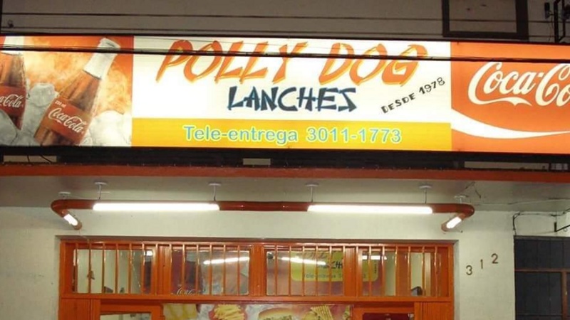 SOS Polly Dog - Vamos reconstruir!