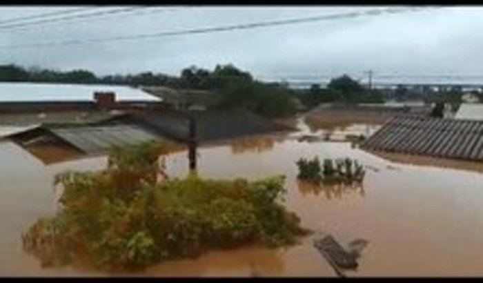 Vaquinha para comprar alimentos. 