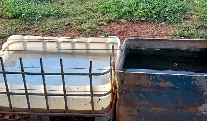 Ajude a Dominga a ter água em casa