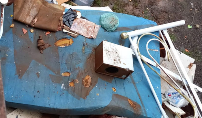 Ajude a Vivi a ter sua casa de volta