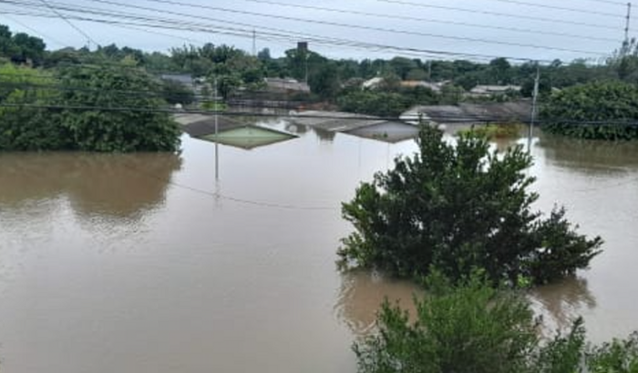 Mantimentos para as crianças e mulher 