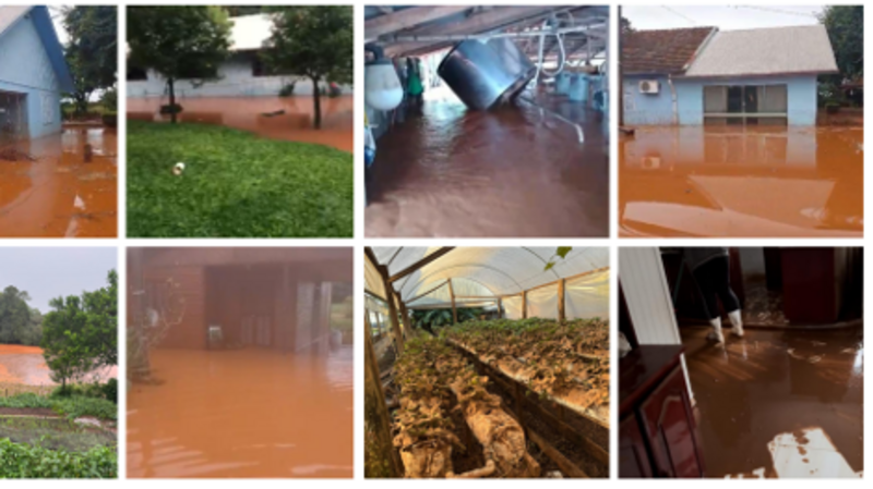 Ajuda às Famílias de Bela Vista - Selbach