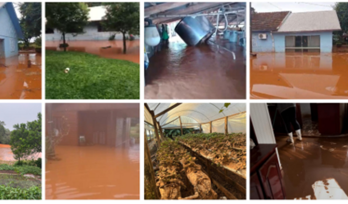 Ajuda às Famílias de Bela Vista - Selbach