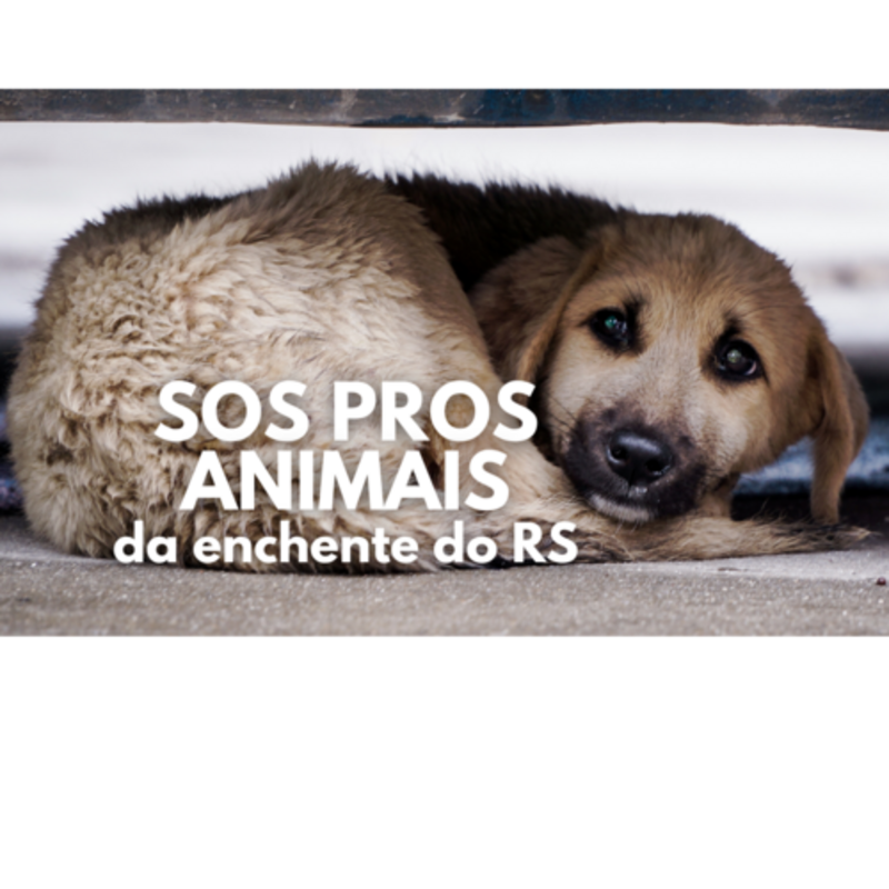 SOS PROS ANIMAIS - RIO GRANDE DO SUL