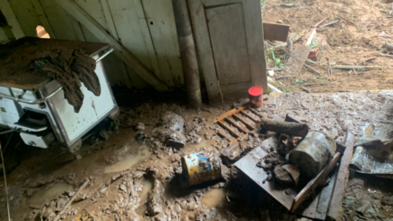 Romeu e Celi. Perderam tudo! 