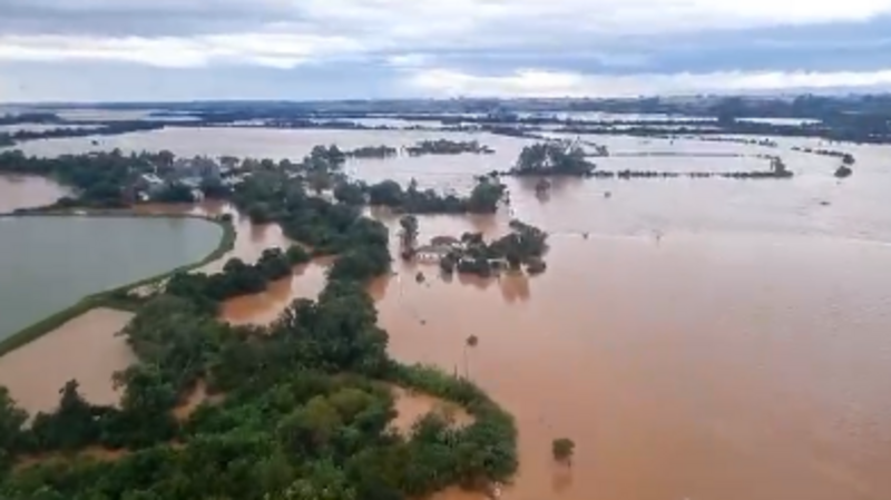 Ajuda a Família Castanha de Canoas - RS