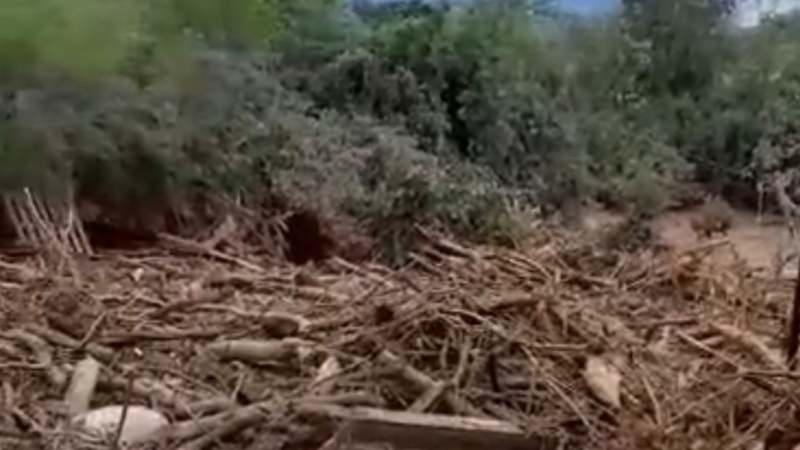 Vamos ajudar Marina! 