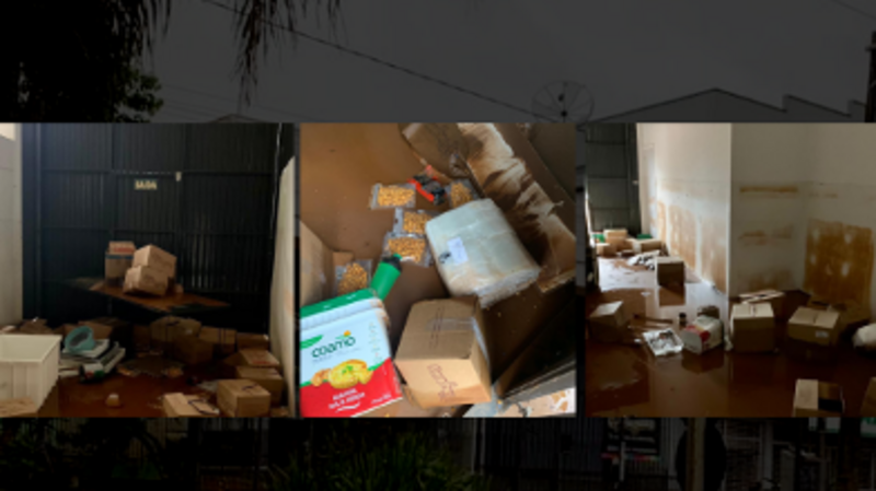 Ajude a Piingues - Renascendo da água