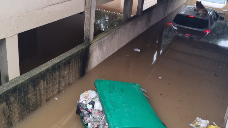 Ajude a família Costa a recuperar parte de sua vida!