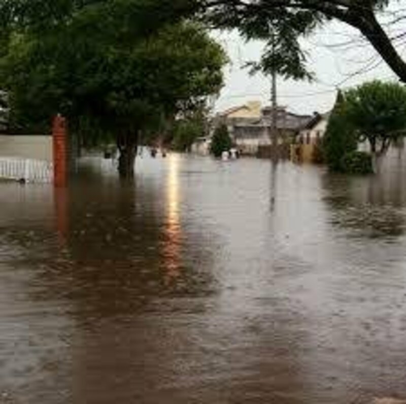 Ajude a recuperar um pouco do que perdemos com a enchente