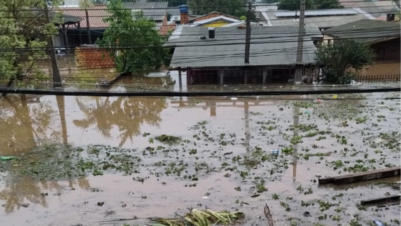 Enchente Canoas, Família Soares / Neri
