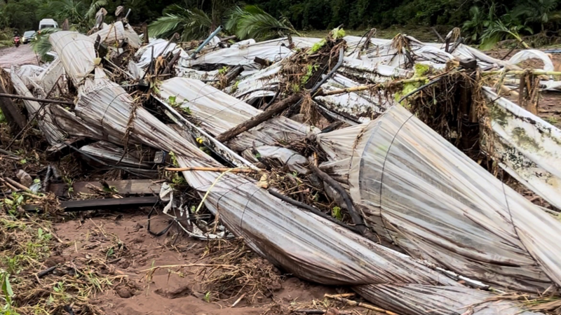 Reconstruir as estufas 