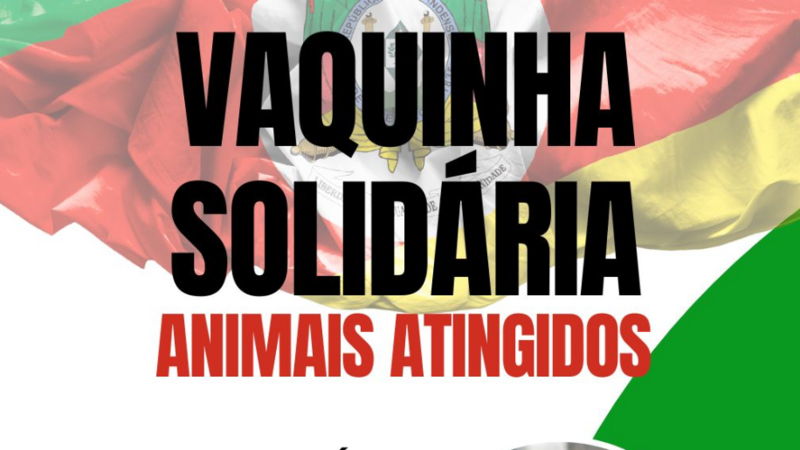 Vakinha animais atingidos pela enchente no RS 