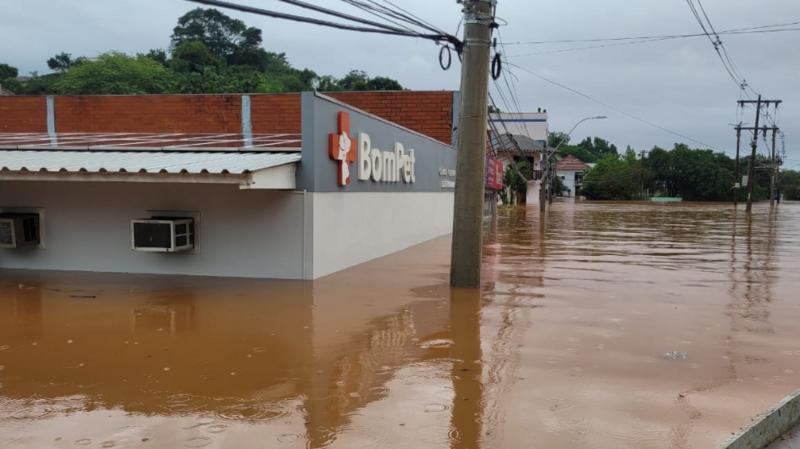 Enchente RS - ajuda para o Vet Pedro