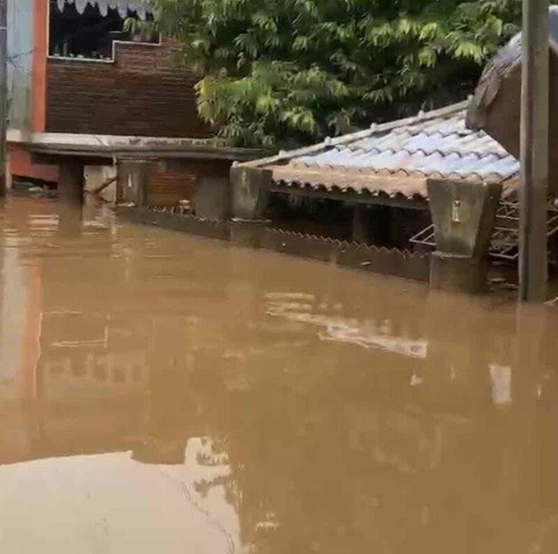 Ajude a Vivi para recuperar sua casa atingida pela enchente! 