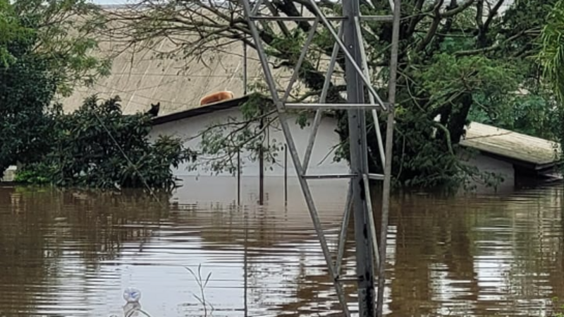 Ajude as famílias do Novo Mexico em Canoas - RS 