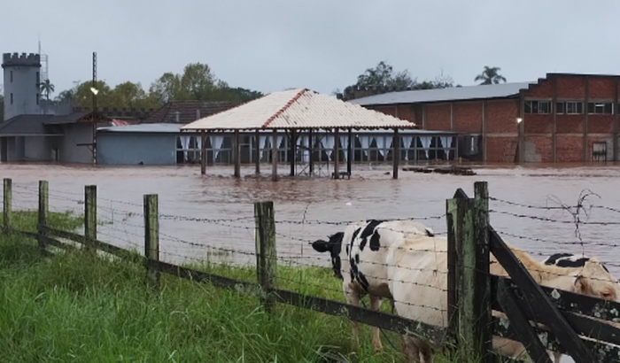 Reconstrução da Little Sheep