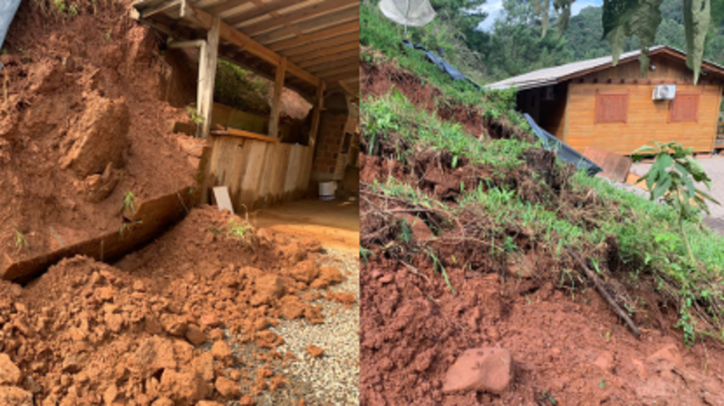 Ajude Tia Ira e Tonico a voltarem para sua casa