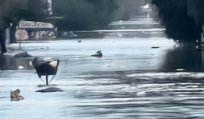 "Reconstruindo o que foi perdido na enchente de Eldorado do Sul"