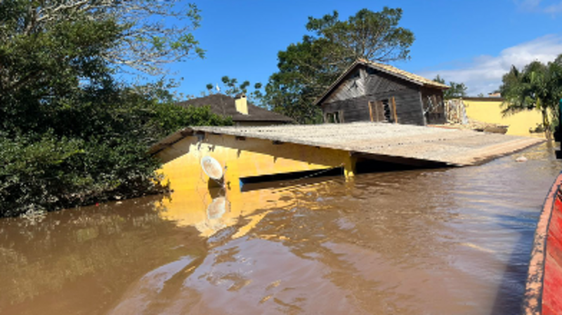 Ajude a Professora Eliana a recomeçar a vida