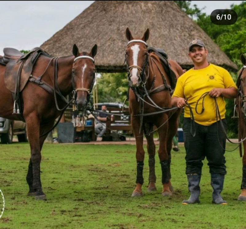 Em prol do "Dorneles"