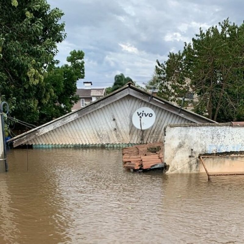 Ajude a família Graminha que perdeu tudo na enchente 