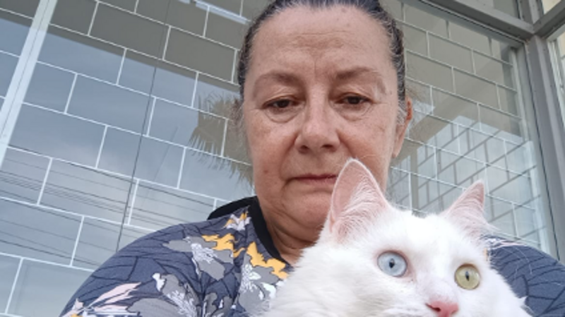 SOS Elaine- Reconstruindo um lar