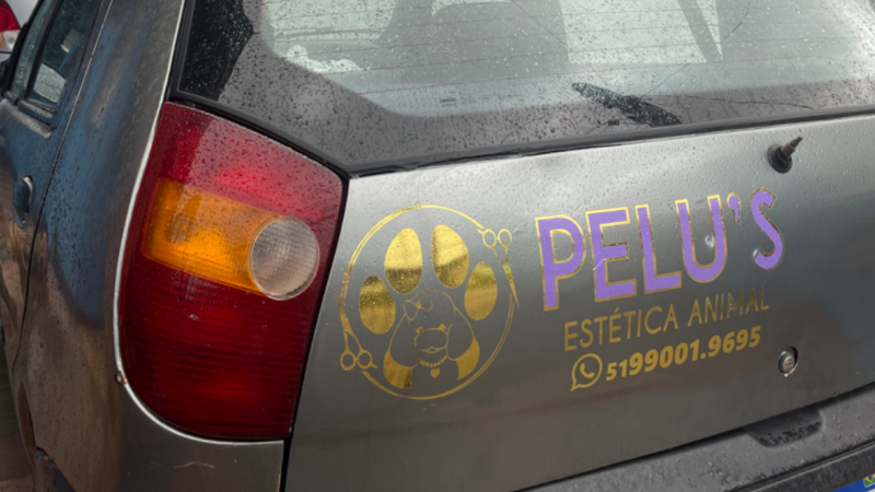 Recuperar nosso carro de tele busca! 