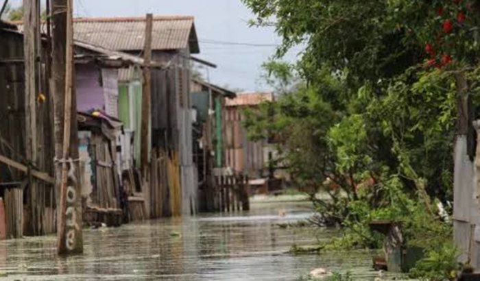 Rio Grande do Sul Preciso de você