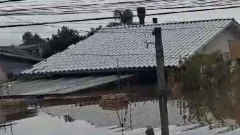 Nos ajudem a recomeçar! 