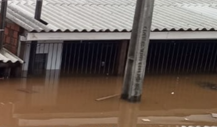 Ajuda para minha tia começar do zero pós enchente 