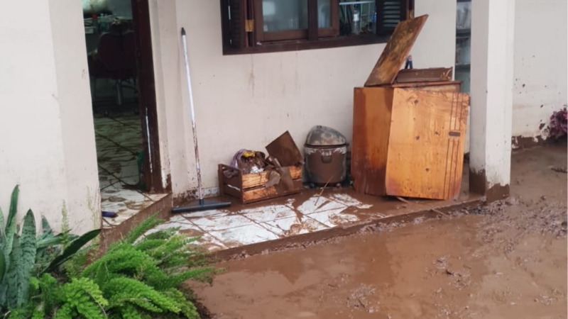 Ajude a mada, a reaver seus móveis.