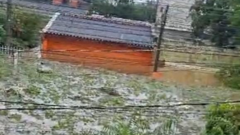 Ajude minha mãe e irmã a recuperarem parte de seus bens materias!